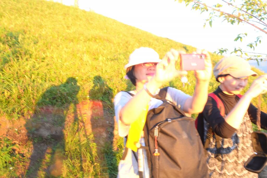 蔚藍海岸夢想設計有限公司