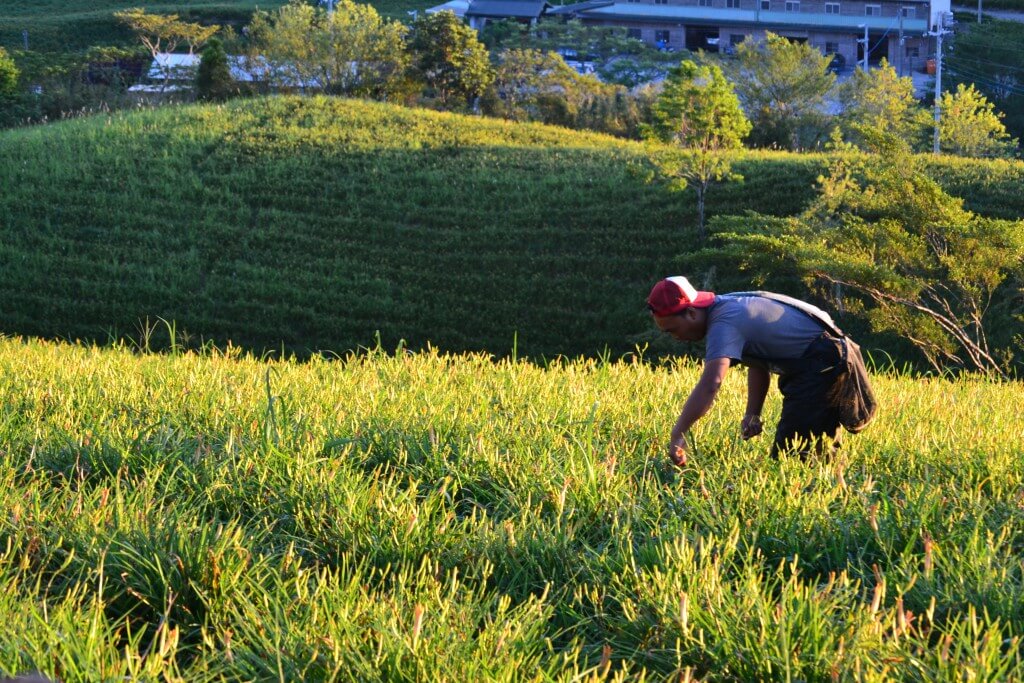 蔚藍海岸夢想設計有限公司