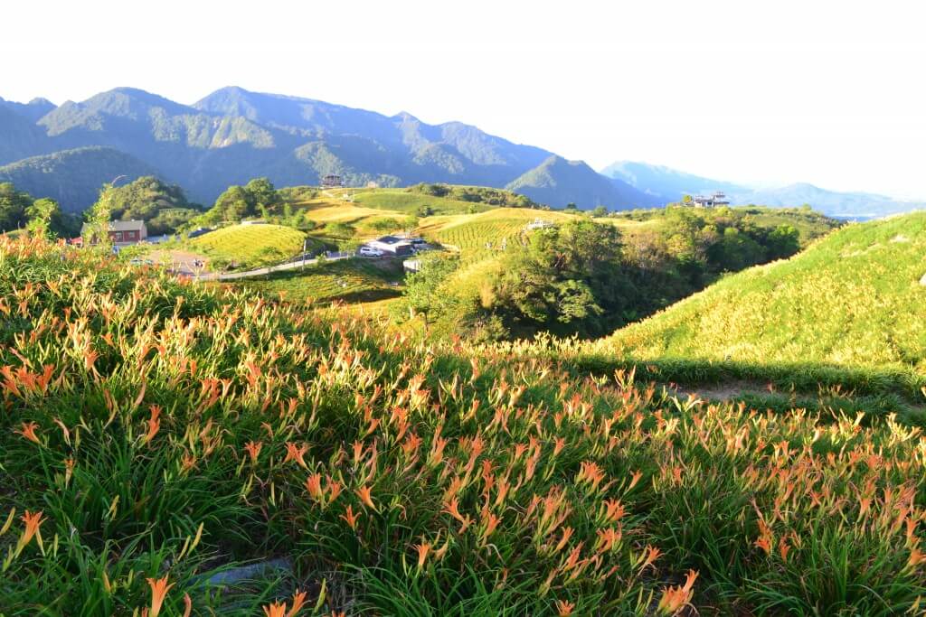 蔚藍海岸夢想設計有限公司