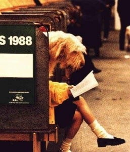 6805a09769efddfb6b55e6231183a10c