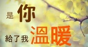 是你，給了我溫暖